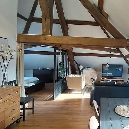 Daire *new*les Amandines Le Loft* Wifi Allevard